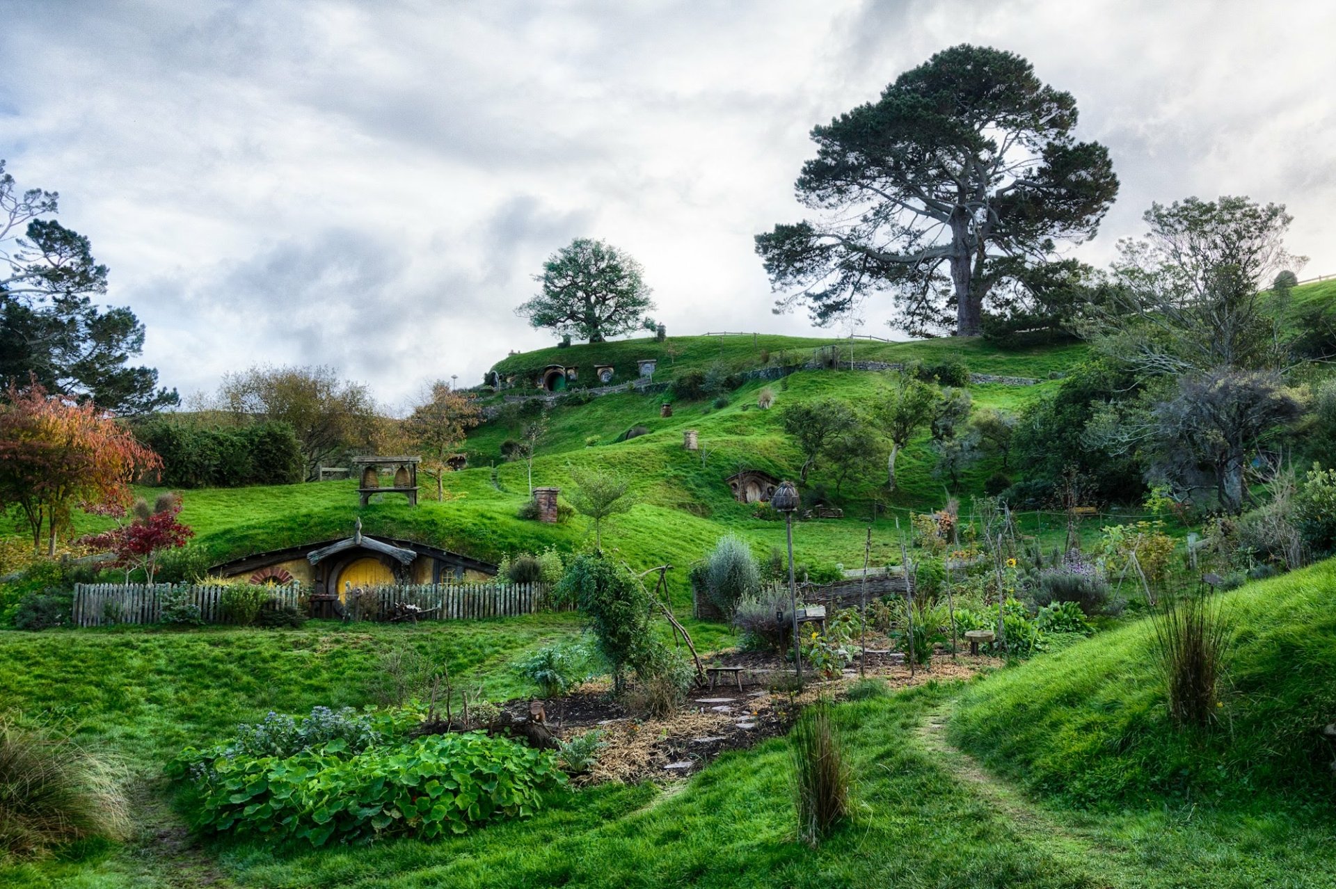 Green Hills of Hobbiton