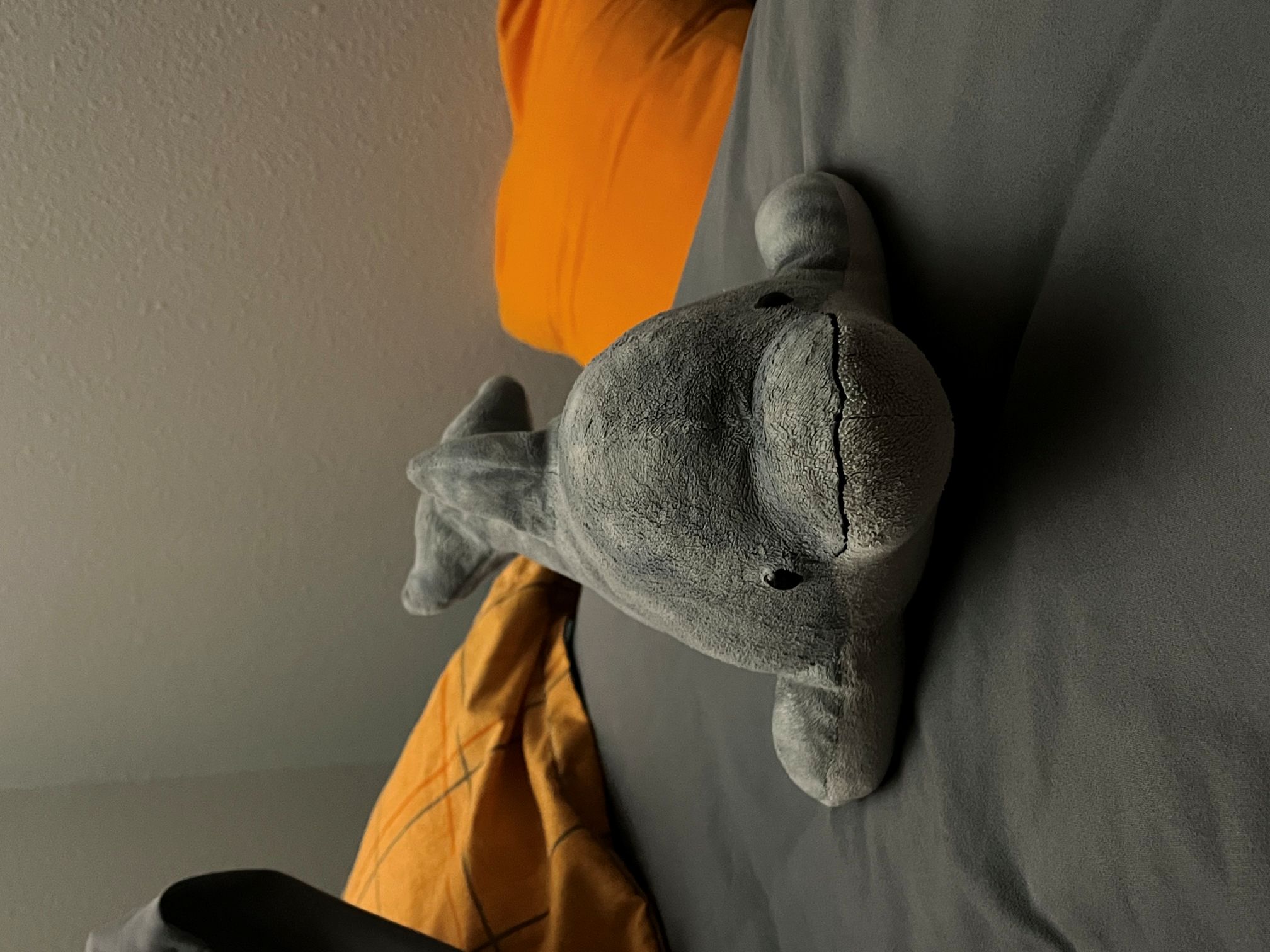 My beloved dolphin plushie, Marvin.