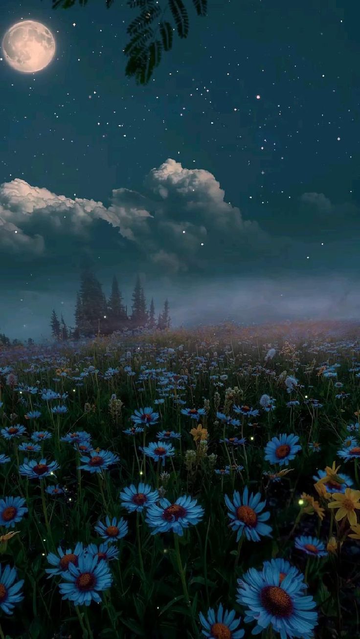 Beautiful blue mountains and a field of purple flowers