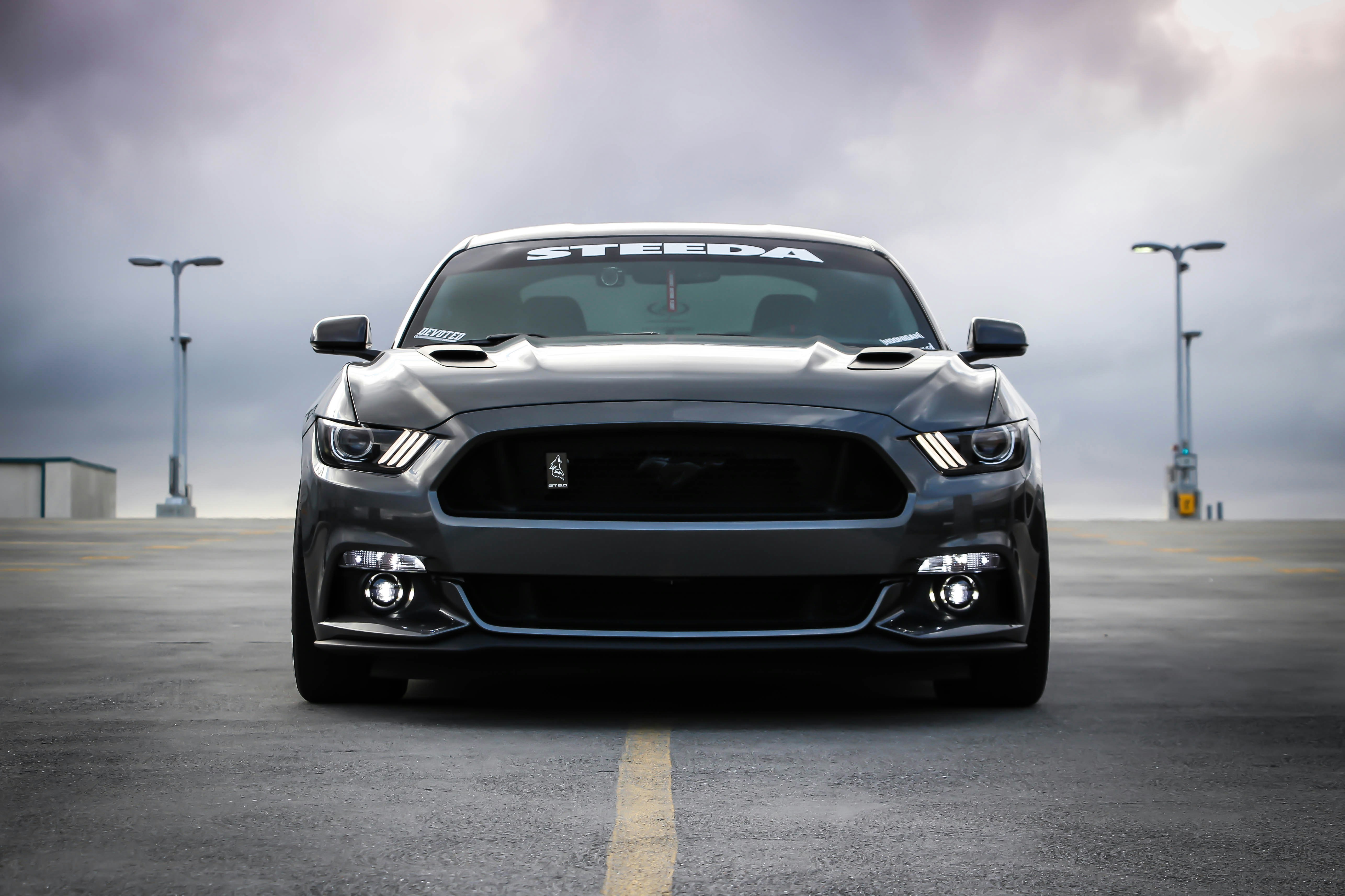 grey mustang
