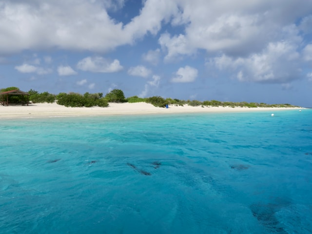 A caribbean beach