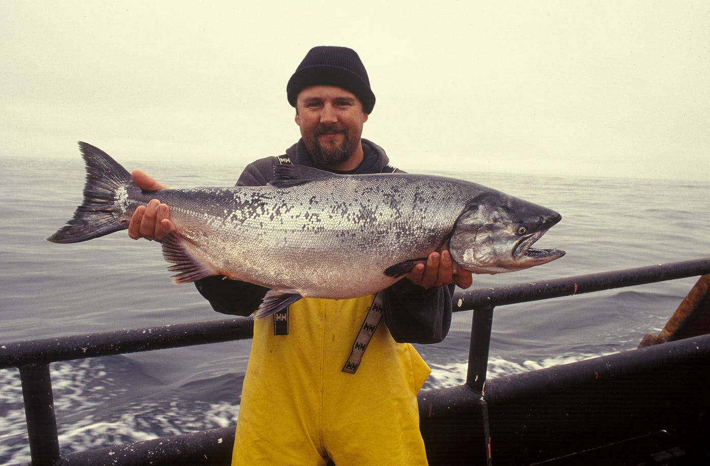 Angler holding a salmon beside a river