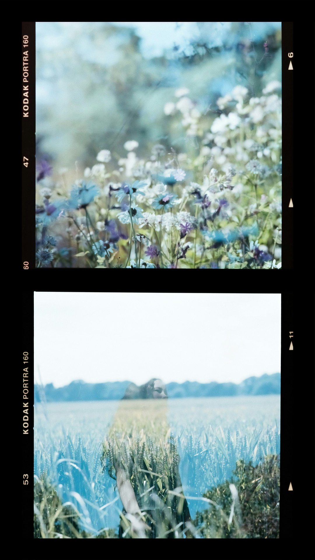 film