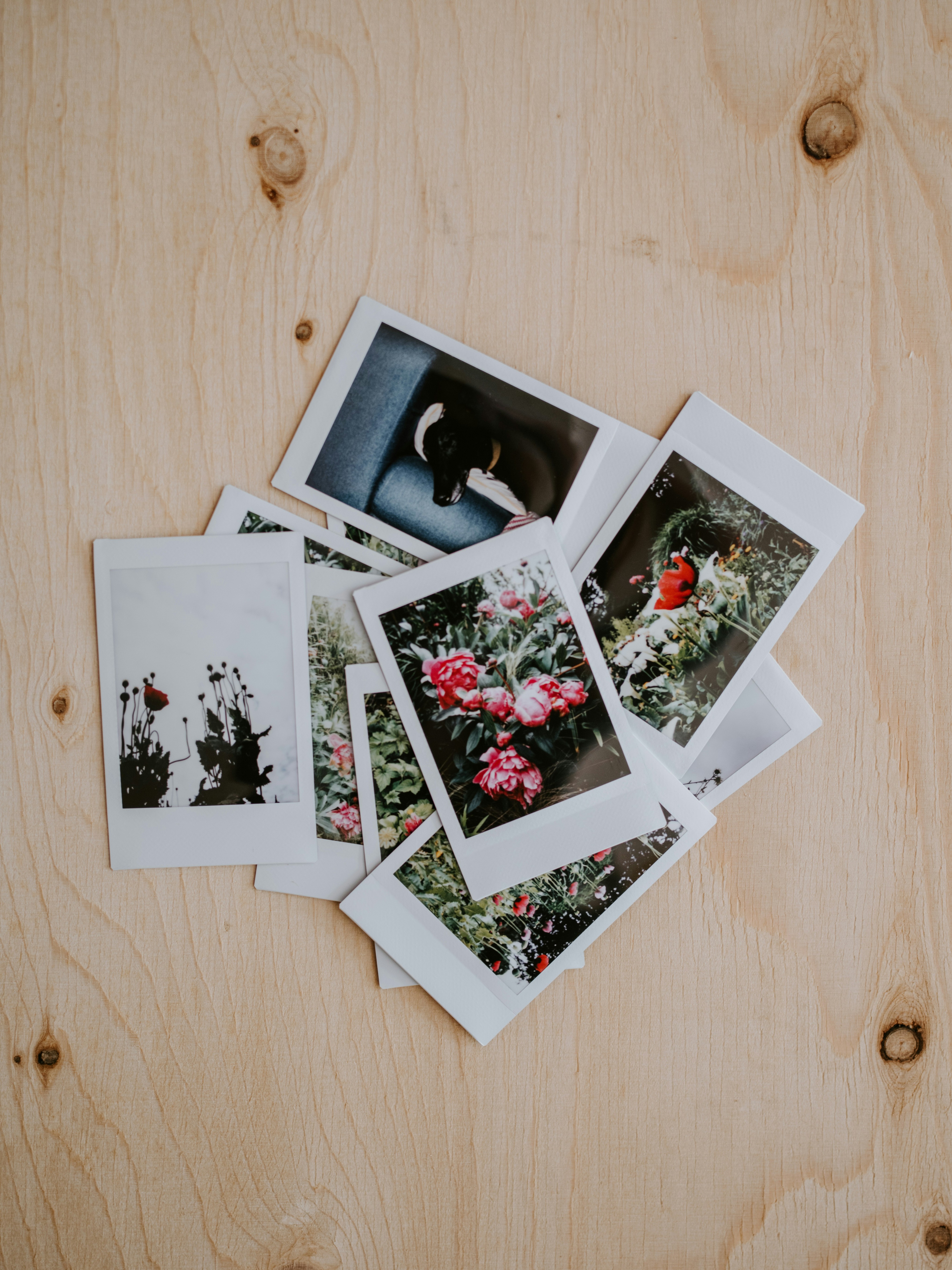 image of polaroid photos