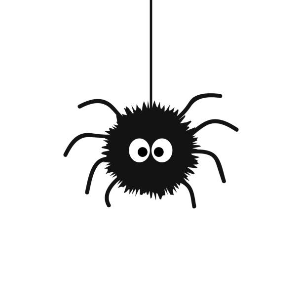 Stock Phot of Spider