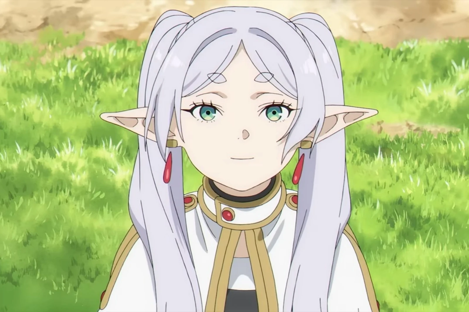 A picture of Frieren