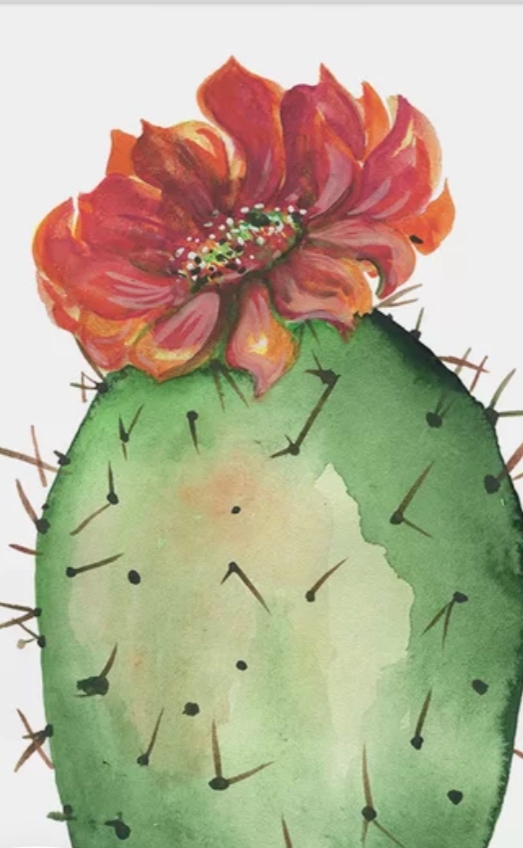Cactus Flower