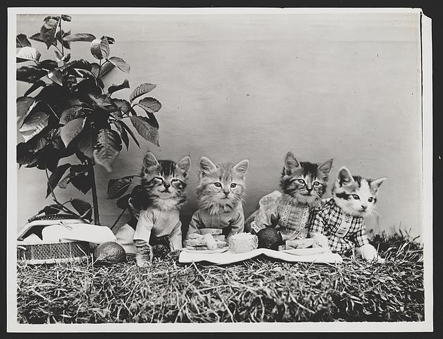 The picnic. VIA Library of Congress