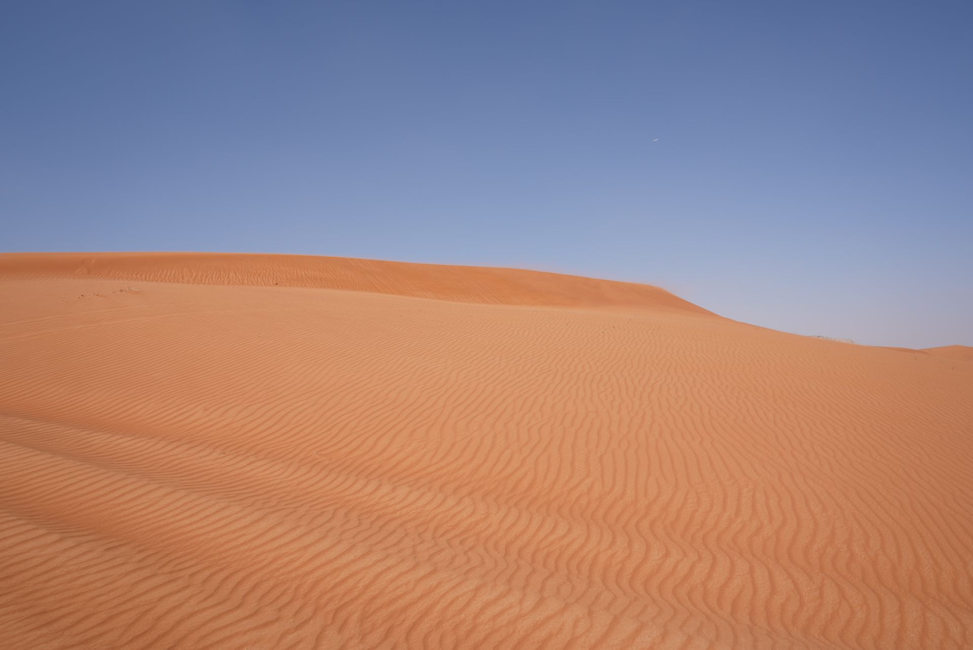 Overhead shot of a sandy desert