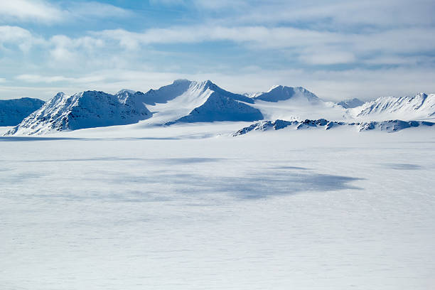 Arctic Background