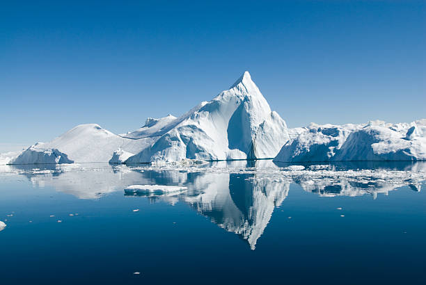 The Arctic