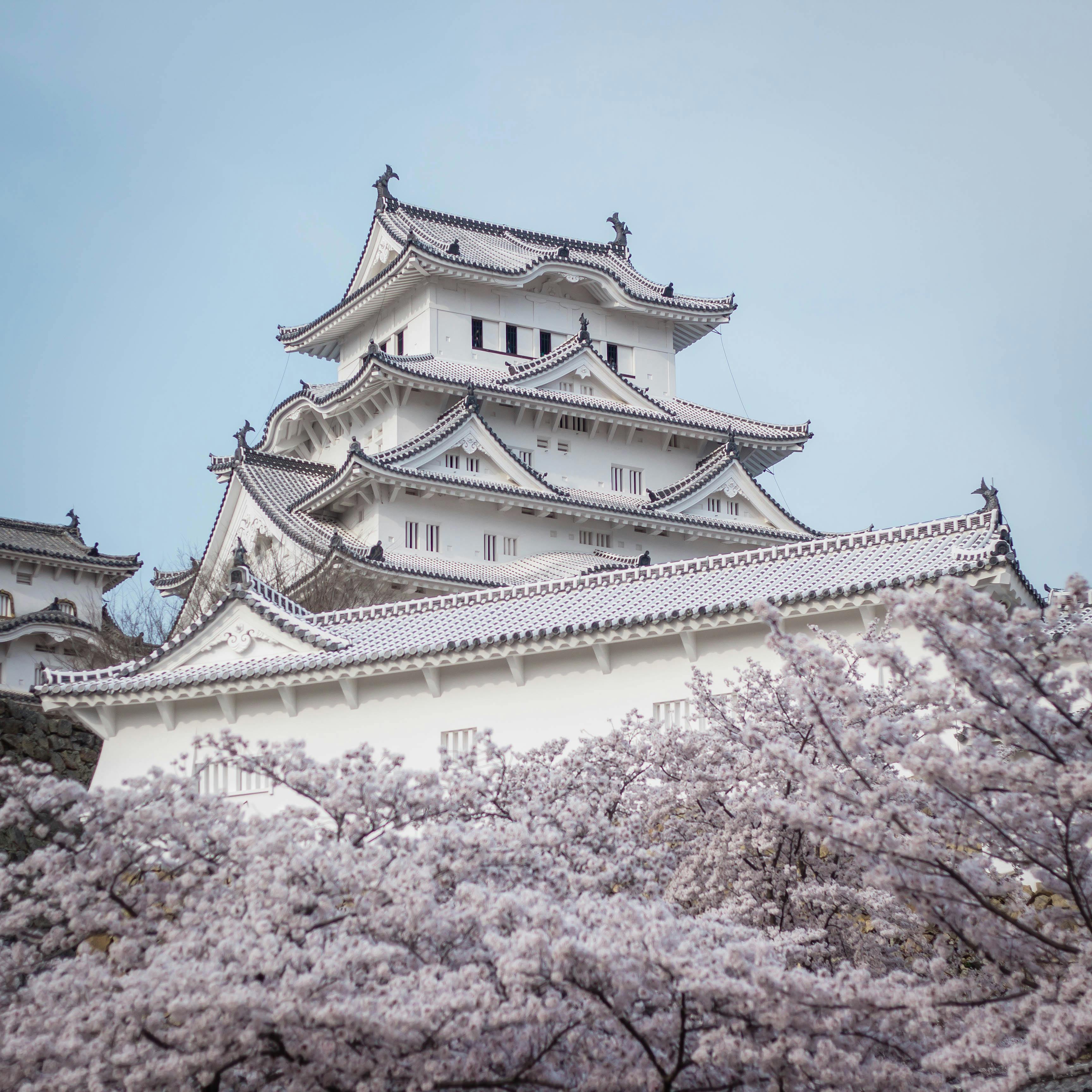 Close-up of a Japanese temple